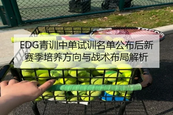 EDG青训中单试训名单公布后新赛季培养方向与战术布局解析